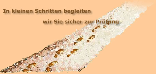 kleine Schritte